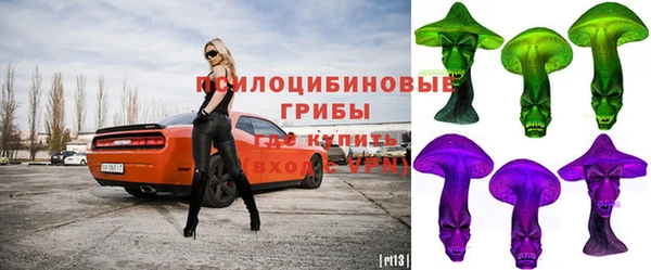 Альфа ПВП Нягань